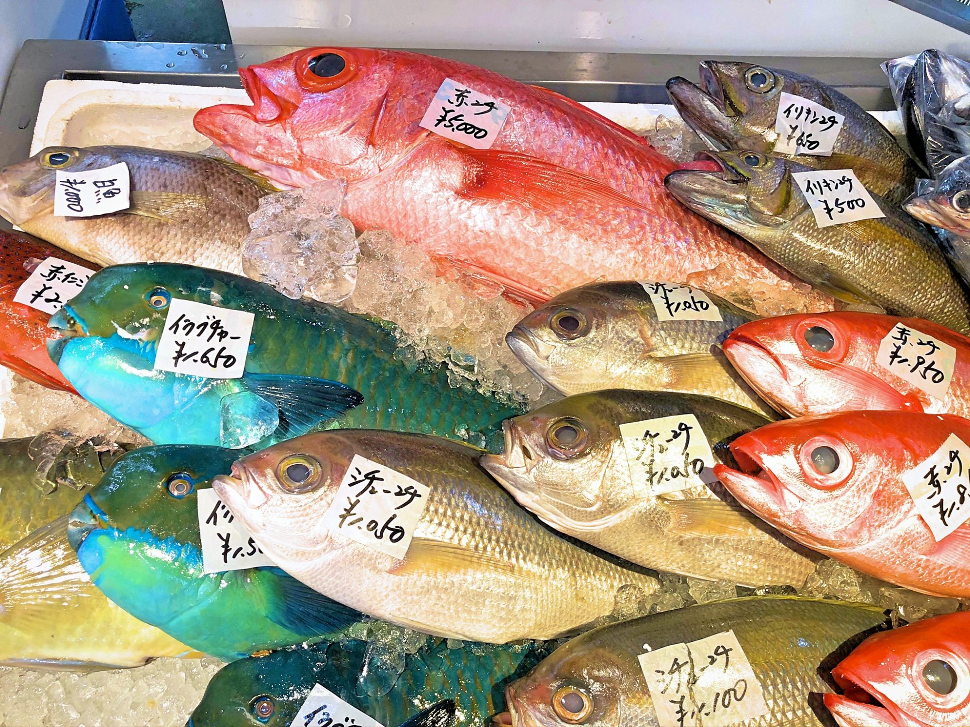 泊いゆまち で朝活チャージ 沖縄ならではの新鮮な魚介類を食べたい トラベラー沖縄 沖縄県民も観光客も楽しめる沖縄観光情報サイト